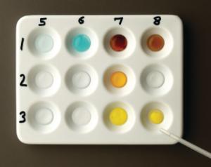 Balancing Chemical Equations: Inquiry-Based Experiment