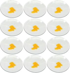 Watch glass, 5 cm