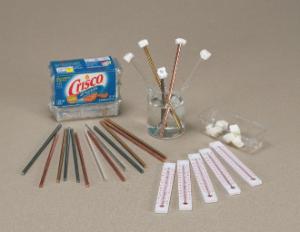 Conduction of Heat: The Crisco Experiment