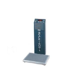Scale low-pro stand-on battery 1EA
