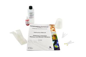 Kidneys and blood filtration kit