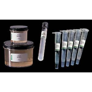 Ward's® <i>Pediastrum</i>