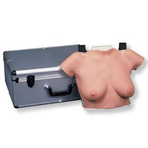 3B Scientific® Self Breast Exam Trainer With Case