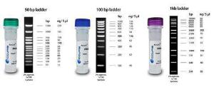 SmartCheck DNA ladders key