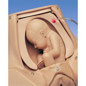 Gaumard® Childbirth Simulator