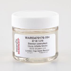 Ward's® Live <i><B>Stentor coeruleus</B></i> Culture