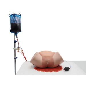 SIM postpartum hemorrhage SIMulator pro