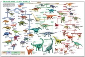 Dinosaur Evolution Poster