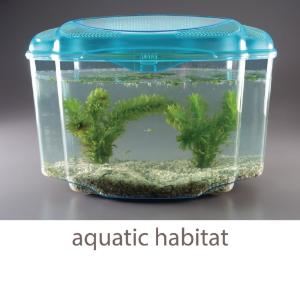 Fish, Snail, and Plant Habitat Set