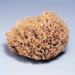 Natural Wool Sponge, Dry