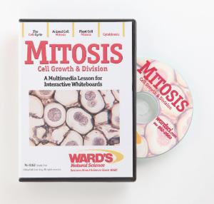 Interactive Whiteboard Science Lessons: Mitosis