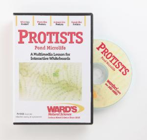 Interactive Whiteboard Science Lesson CD: Protists