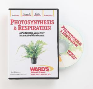 Interactive Whiteboard Science Lesson CD: Photosynthesis & Respiration