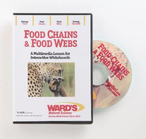 Interactive Whiteboard Science Lessons:  Food Chains And Food Webs