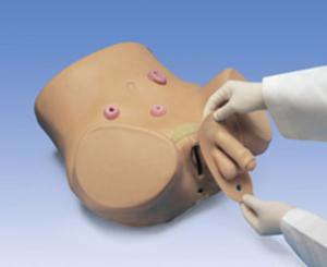 Gaumard® Male And Female Catheterization And Ostomy Care Simulator