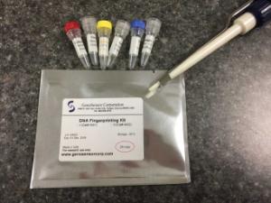 DNA Fingerprinting Kit: Identify the Criminal