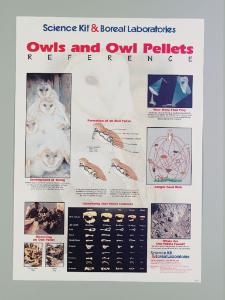 Owls and Owl Pellet Poster