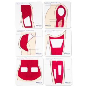 Anatomical templates color, large