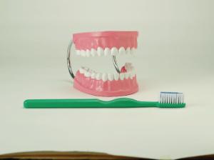 Giant Teeth with Giant Brush