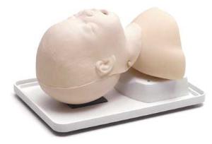 Laerdal® Infant Airway Management Trainer