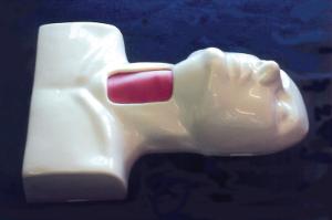 Pharmabiotics® Cricotracheotomy Trainer