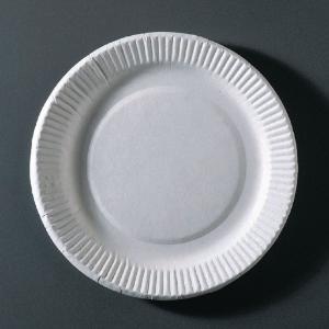 Paper Plates