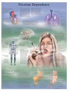 3B Scientific® Nicotine Dependence Chart