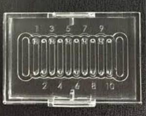 Rapi:Chip for PCR - 10 wells