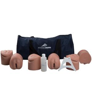 3B Scientific® Birthing Stages Trainer