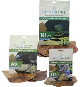 Hydroasis catapa leaves 10 count