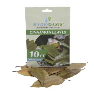 Hydroasis cinnamon leaves