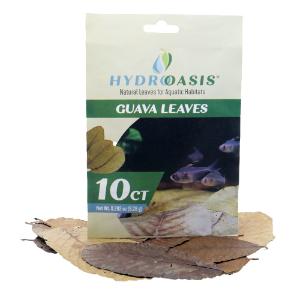 Hydroasis guava leaves