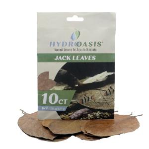 Hydroasis jack leaves