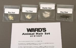 Ward's® Animal Hair Set