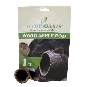 Hydroasis wood apple pod