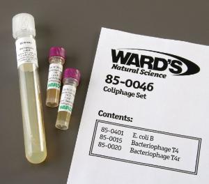 Ward's® Live Coliphage Set