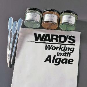 Ward's® Colonial Algae Set