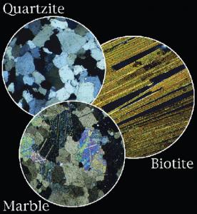 Ward's® Introductory Mineral & Rock Thin Section Set