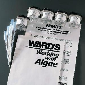 Ward's® Algae Pigmentation Set