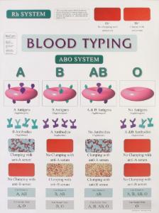 Biocam Mircohistology Charts