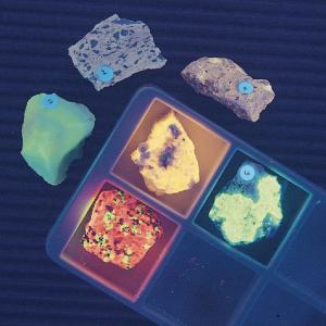 Introductory to Fluorescent Rock Collection