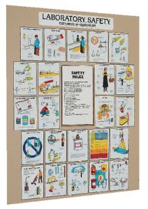 Laboratory Safety Chart