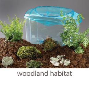 Terrarium/ Vivarium Soil – WestCoastCreatures