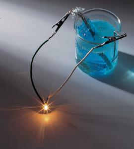 Ward's® Chemistry Measurements Using Electrochemical Cells and Electroplating Lab Activity