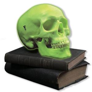 3B Scientific® Glow In The Dark Skull