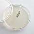 Prepared Nutrient Agar
