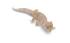 Juvenile albino leopard gecko