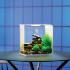 biOrb® FLOW Aquaria