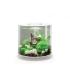 biOrb® TUBE Aquaria