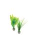 biOrb® Easy Plant Sets